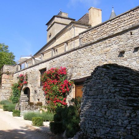 Chateau De Laumiere Promilhanes Kültér fotó